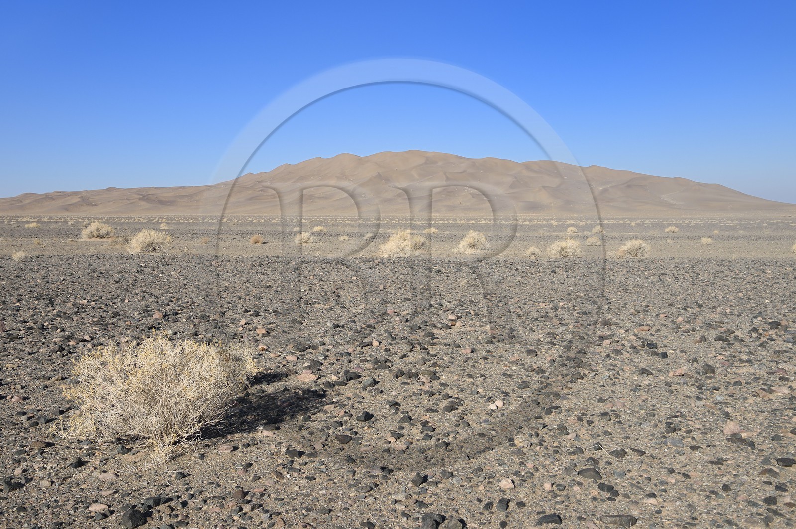 Iran, Province de Yazd, désert du Dasht-e Kavir, Moghestan, massif dunaire dont la plus haute dune atteint les 200 mètres