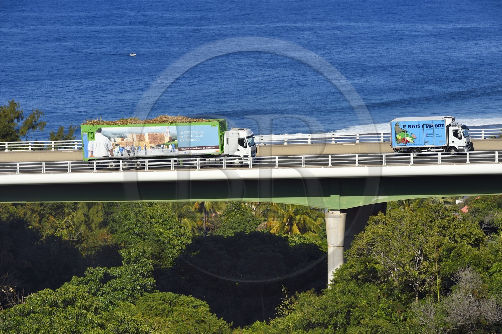 France, Ile de la Reunion, Petite-Ile, grands camions appelés cachalots qui acheminent la canne à sucre vers l'usine sucrière du Gol France, Ile de la Reunion, Petite-Ile, grands camions appelés cachalots qui acheminent la canne à sucre vers l'usine sucrière du Gol