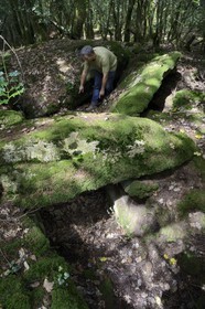France, Morbihan, Tredion, Coeby forest, dolmen megalithic site discovered by archaeologist Philippe Gouezin still in its raw state