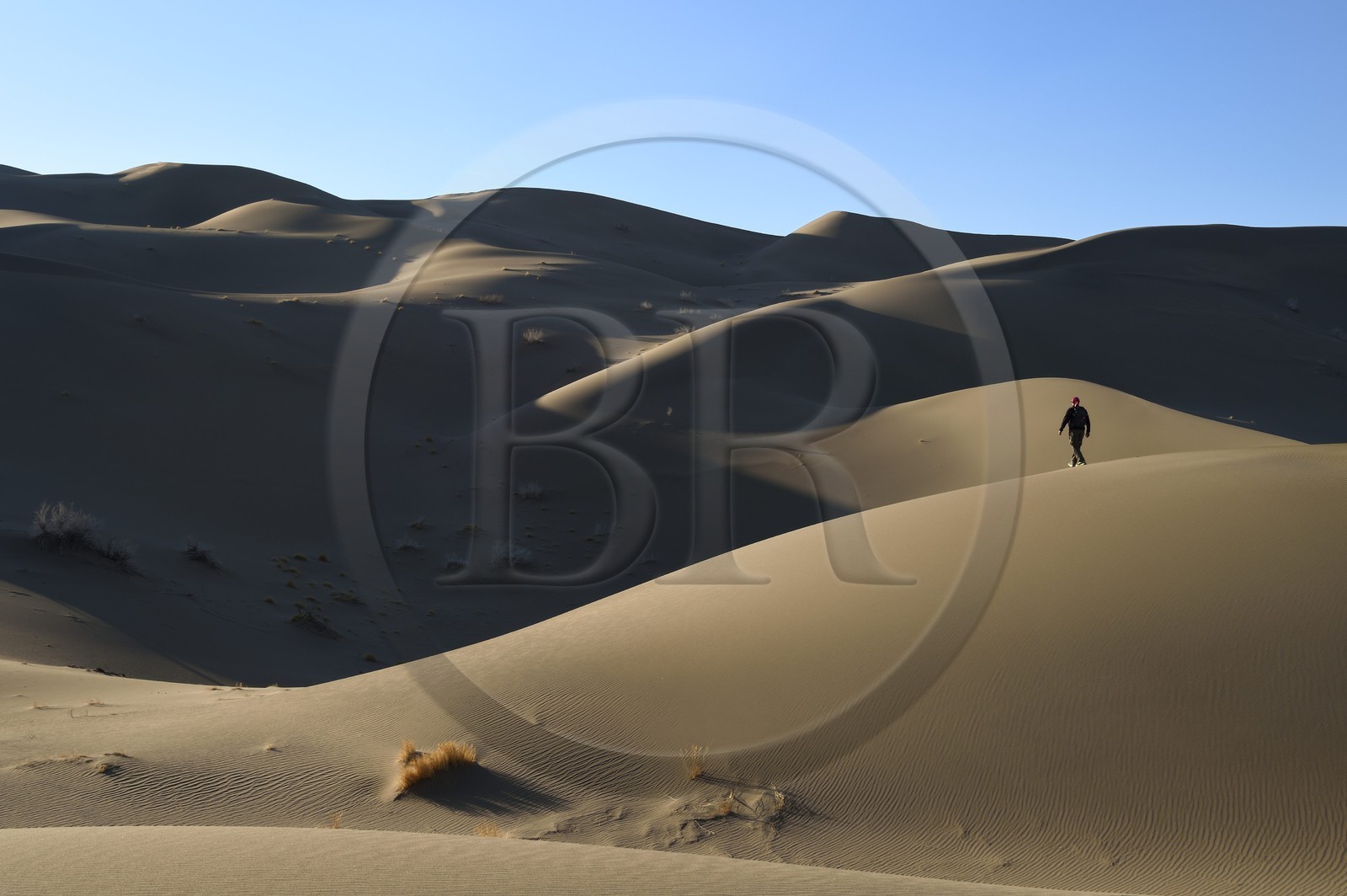 Iran, Province de Yazd, désert du Dasht-e Kavir, Moghestan, randonnée dans le massif dunaire dont la plus haute dune atteint les 200 mètres