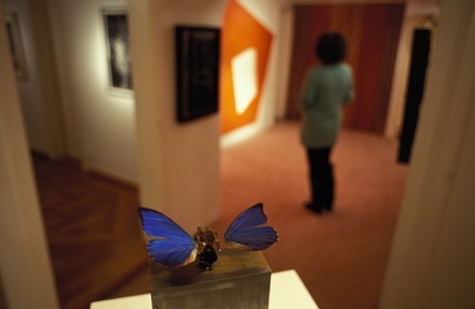 Switzerland, region of Bern (Bernese Oberland), Saanenland, Gstaad, contemporary art gallery Saqqârah