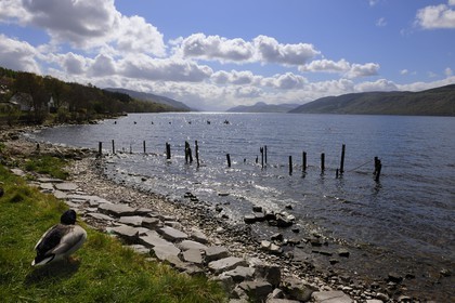 United Kingdom, Scotland, Highlands, Loch Ness