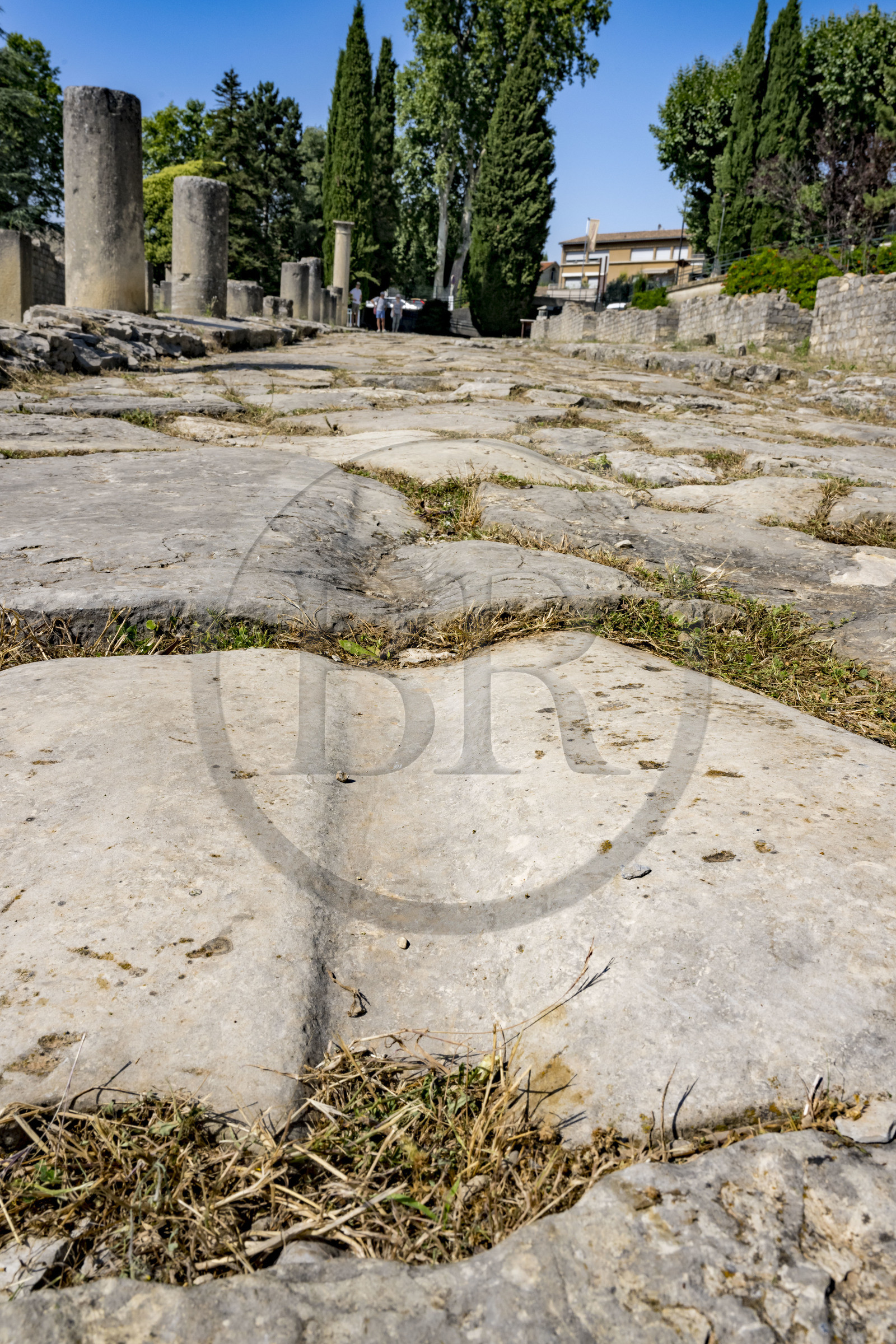 France, Vaucluse, Vaison la Romaine, Villasse archaeological site, traces of carts on the paving stones of the street of shops
