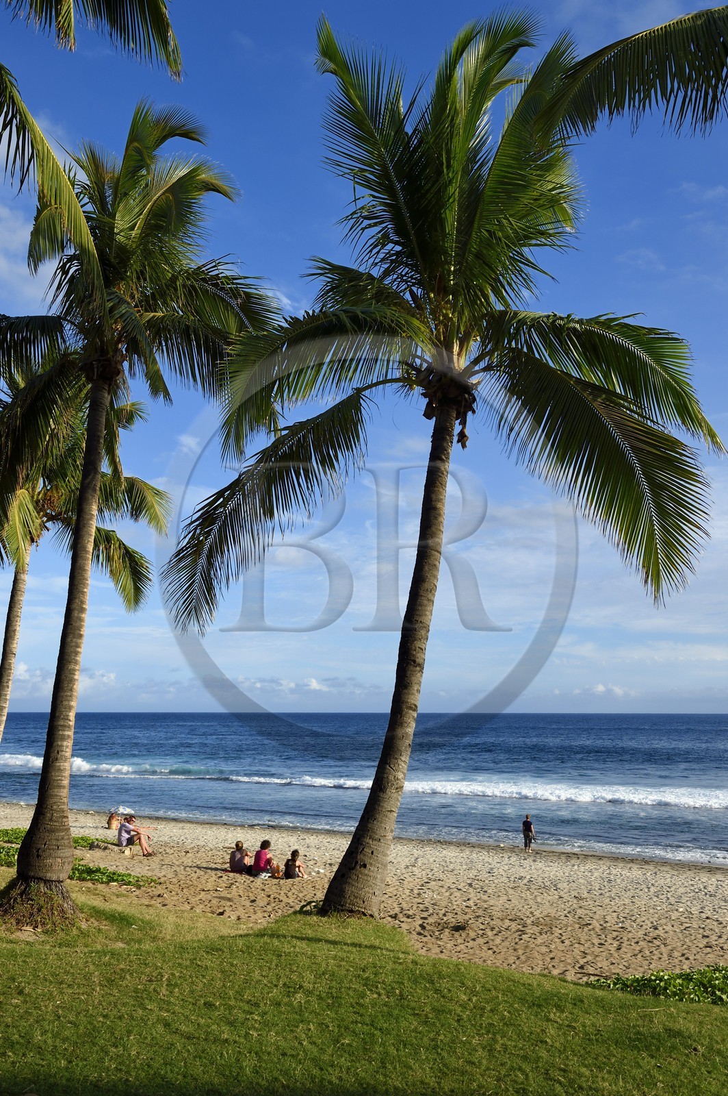 France, Ile de la Reunion, Cote Sud, plage de Grande Anse