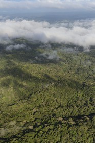 Panama, forêt tropicale aux abords du Canal de Panama (vue aérienne)