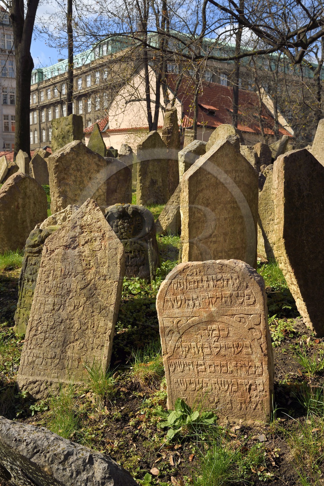 République Tchèque, Prague, centre historique classé Patrimoine Mondial de l'UNESCO, quartier juif de Josefov, cimetière juif et la synagogue Pinkas en arrière plan
