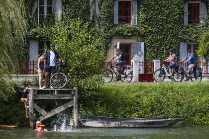 France, Deux-Sèvres, le Marais Poitevin, Green Venice, Le Mazeau, bicycle journey along the Sevre Niortaise River banks on the Vélo Francette cycle path