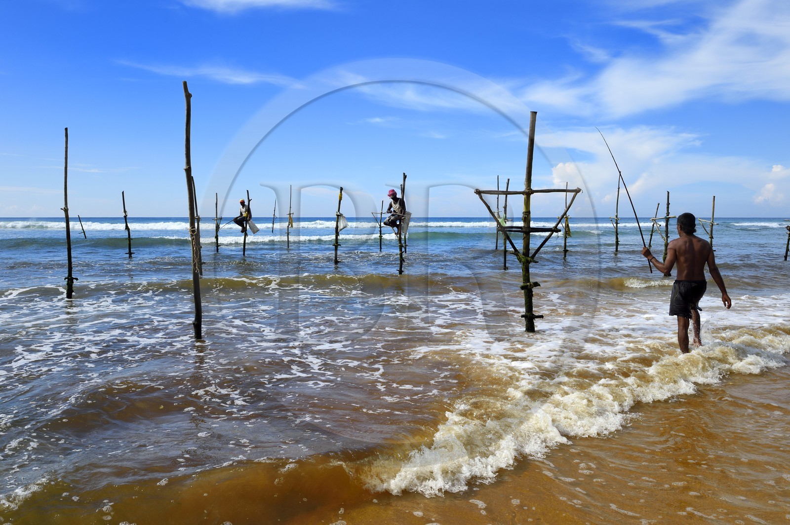 Sri Lanka, Province du Sud, région de Galle, plage de Midigama, pecheurs sur poteaux Sri Lanka, Province du Sud, région de Galle, plage de Midigama, pecheurs sur poteaux
