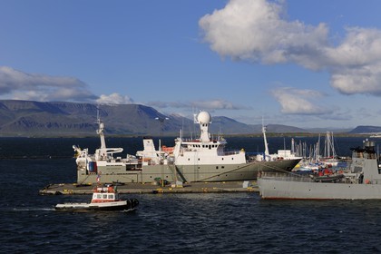Iceland, Reykjavik harbor