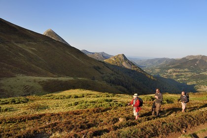 France, Cantal (15), Parc Naturel Régional des Volcans d'Auvergne, Le Lioran, col de Rombière surplombant la vallée de la Jordanne, randonneurs sur le chemin de Saint-Jacques de Compostelle par la Via Arverna, en arrière plan le Puy Griou émergeant à gauche et le Griounou à sa droite