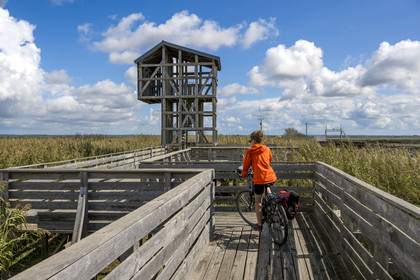 France, Loire-Atlantique (44), Lavau-sur-Loire, collection d'art contemporain à ciel ouvert Estuaire, l’Observatoire réalisé par l'artiste Tadashi Kawamata