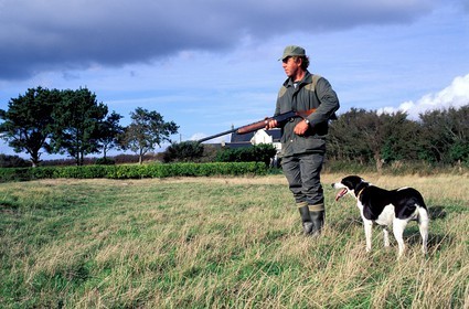 France, Morbihan (56), Belle-Île, chasseur et son chien