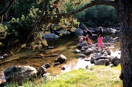 France, Pyrénées-Orientales (66), la rivière le Têt à sa source dans la vallée menant au lac des Bouillouses en Capcir