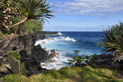 France, Ile de la Reunion, Saint-Philippe, Mare-Longue, roches basaltiques issue d'une coulée de lave en bordure de l'Océan Indien au lieu dit de la Mer Cassée