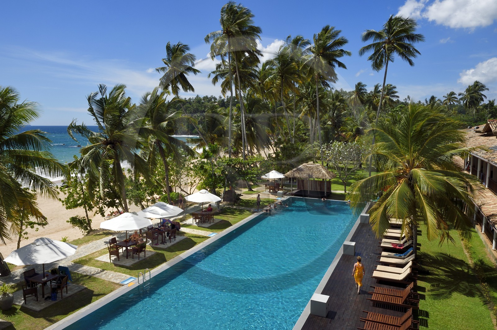 Sri Lanka, Province du Sud, Weligama, plage de Mirissa, Paradise Beach Club hotel Sri Lanka, Province du Sud, Weligama, plage de Mirissa, Paradise Beach Club hotel