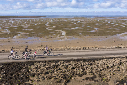 France, Vendée (85), île de Noirmoutier, Barbatre, cyclistes sur le passage du Gois, chaussée submersible qui relie l'île au continent à marrée basse (vue aérienne)