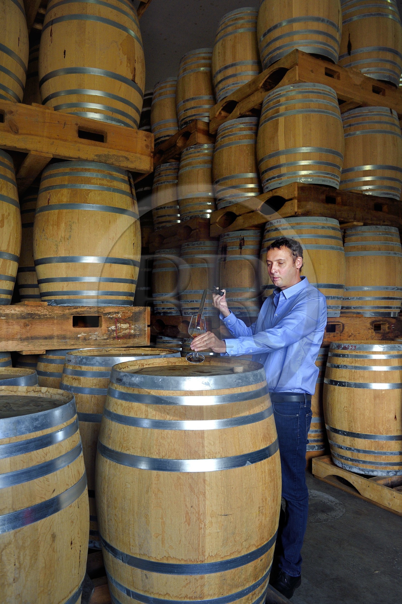 France, Ile de la Reunion, Saint Pierre, domaine de la distillerie Isautier, vieillissement des rhums vieux dans les chais entre 6 et 14 mois en futs neufs puis plusieurs années ensuite par lot en futs roux, Cyril Isautier directeur de la branche rhums et punchs du groupe Isautier fait un prélèvement à la pipette pour une dégustation