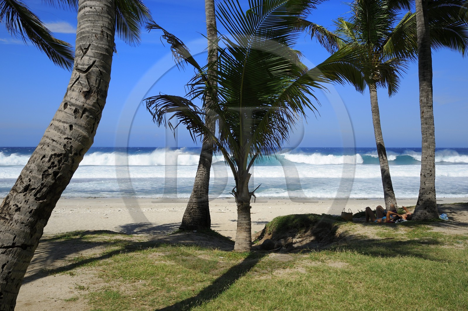 France, île de la Réunion, la côte sud, plage de Grand-Anse