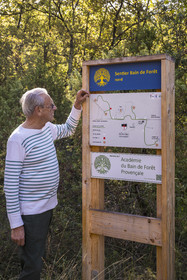 France, Var, Provence Verte (Green Provence), Bras, Academie du Bain de Foret Provencale (Academy of Forest Bathing in Provence), forest of the domaine Le Peyrourier - une campagne en Provence