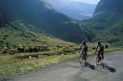 France, Hautes-Pyrénées (65), la vallée de Troumousse, le cirque de Gabiedou