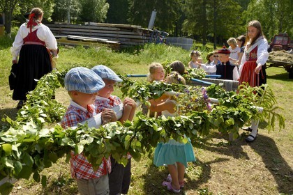 Sweden, Dalarna County, Leksand area, Midsummer celebrations in the tiny hamlet of Sunnanäng, children preparing the maypole before it is erected