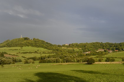 France, Meurthe-et-Moselle (54), pays du Saintois, colline de Sion-Vaudémont et le village de Saxon-Sion, la basilique Notre-Dame de Sion au sommet de la colline