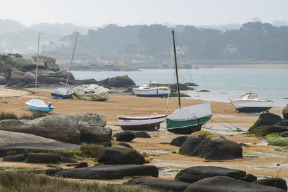 France, Côtes-d'Armor (22), Côte de Granit Rose, Trégastel, Ile Renote, la plage à marée basse