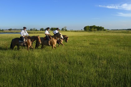 Argentine, province de Buenos Aires, San Antonio de Areco, estancia La Bamba de Areco, gauchos au travail dans la pampa