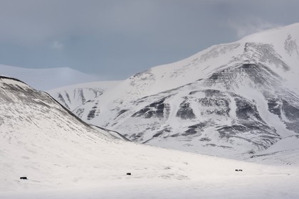 Norway, Svalbard, Spitzbergen, isolated houses in the Adventdalen valley near Longyearbyen