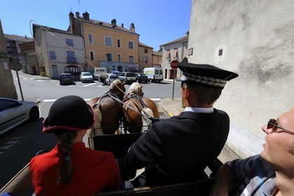 France, Saône et Loire (71), Cluny, attelage du Haras national