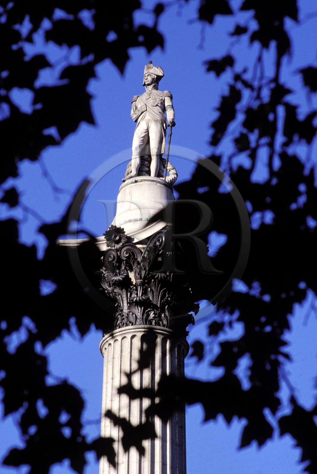 Royaume-Uni, Londres, la colonne de Nelson à Trafalgar Square