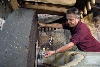 France, Var (83), La Dracénie, village de Tourtour, labellisé Les Plus Beaux Villages de France, le maitre moulinier Jean-Marc Simon devant le moulin oléicole communal