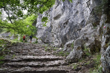 France, Var, Plan d'Aups Sainte Baume, Sainte-Baume Regional Nature Park, Massif de la Sainte-Baume relic forest protected for several centuries and classified as a national biological reserve, hikers on the Chemin des Rois (kings path) and GR 9