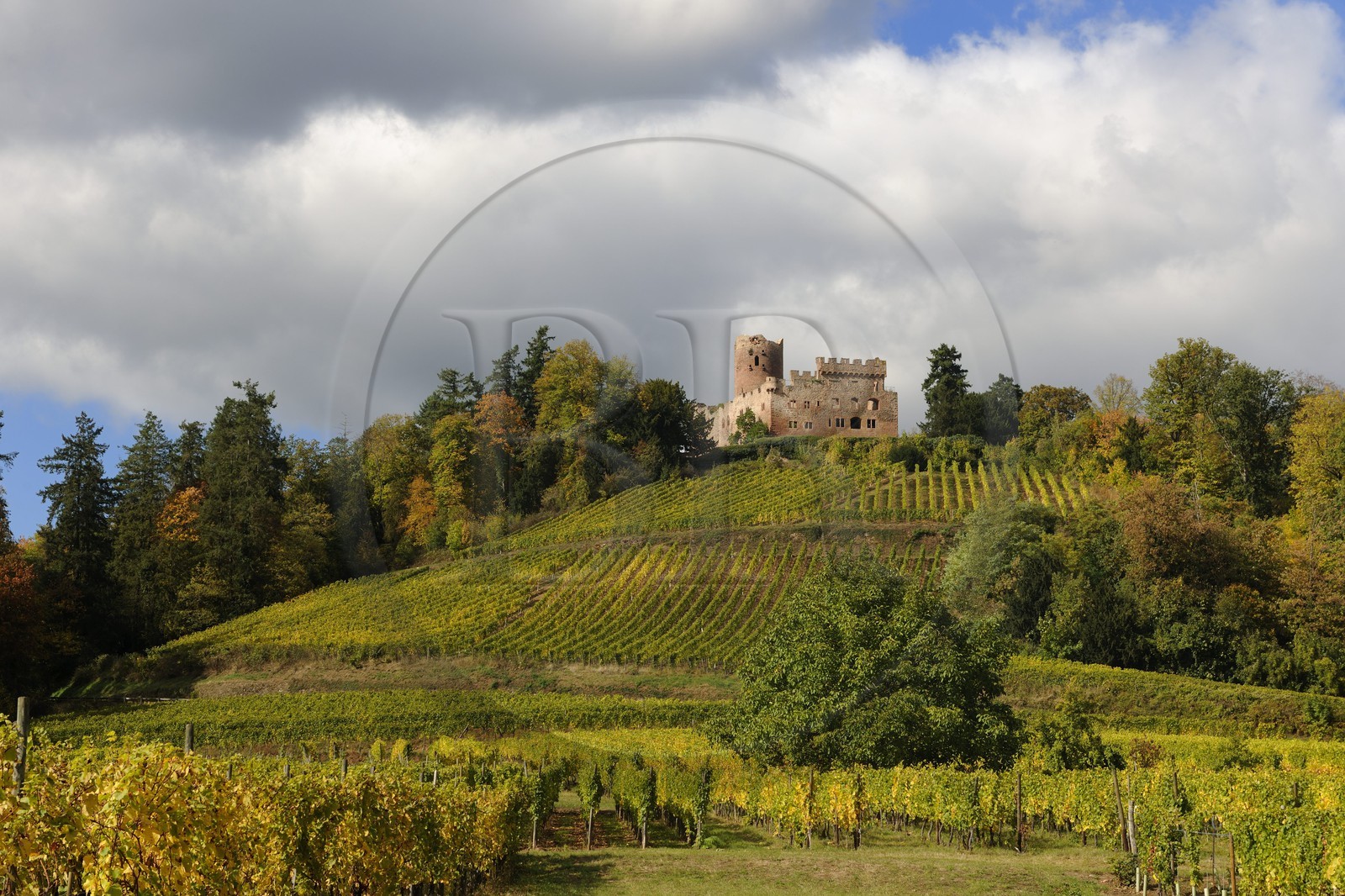 France, Bas-Rhin (67), château de Kintzheim et son vignoble