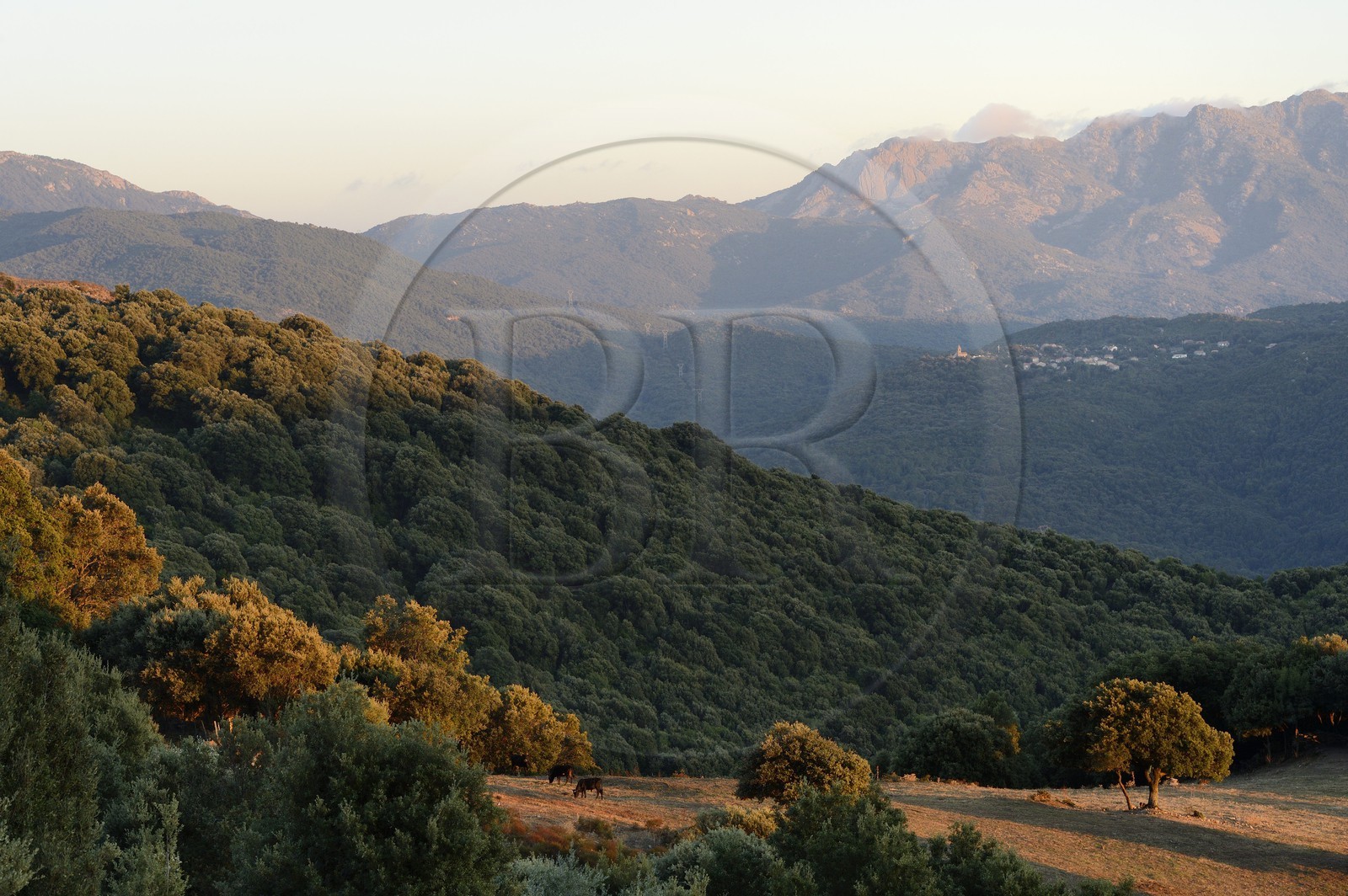 France, Corse-du-Sud (2A), Alta Rocca, vallée de Fiumicicoli et le village de Pantano en arrière plan France, Corse-du-Sud (2A), Alta Rocca, vallée de Fiumicicoli et le village de Pantano en arrière plan