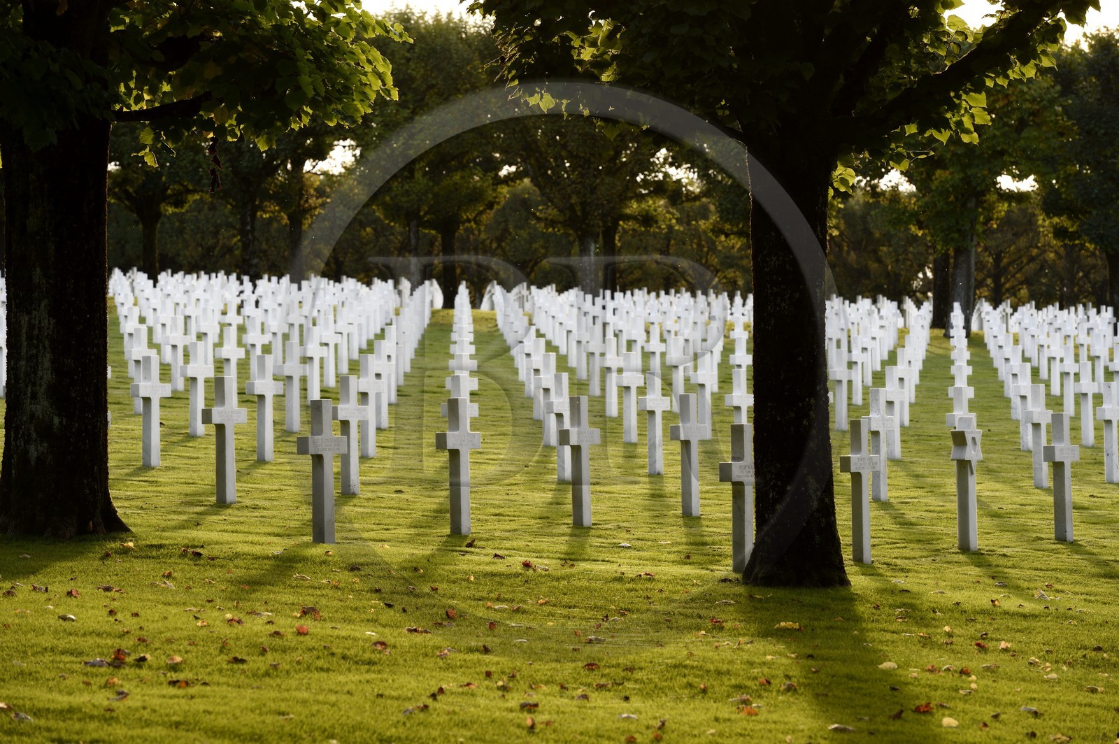France, Meuse, Romagne-sous-Montfaucon, the World War I Meuse-Argonne American Cemetery and Memorial, the cemetery contains the largest number of American military dead in Europe (14246)