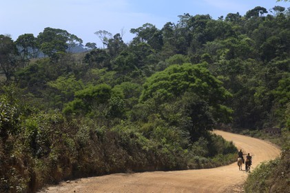 Brazil, Minas Gerais state, on the trail from the old gold road from Serro to Conceicao do Mato Dentro (Gold Route, Estrada Real)