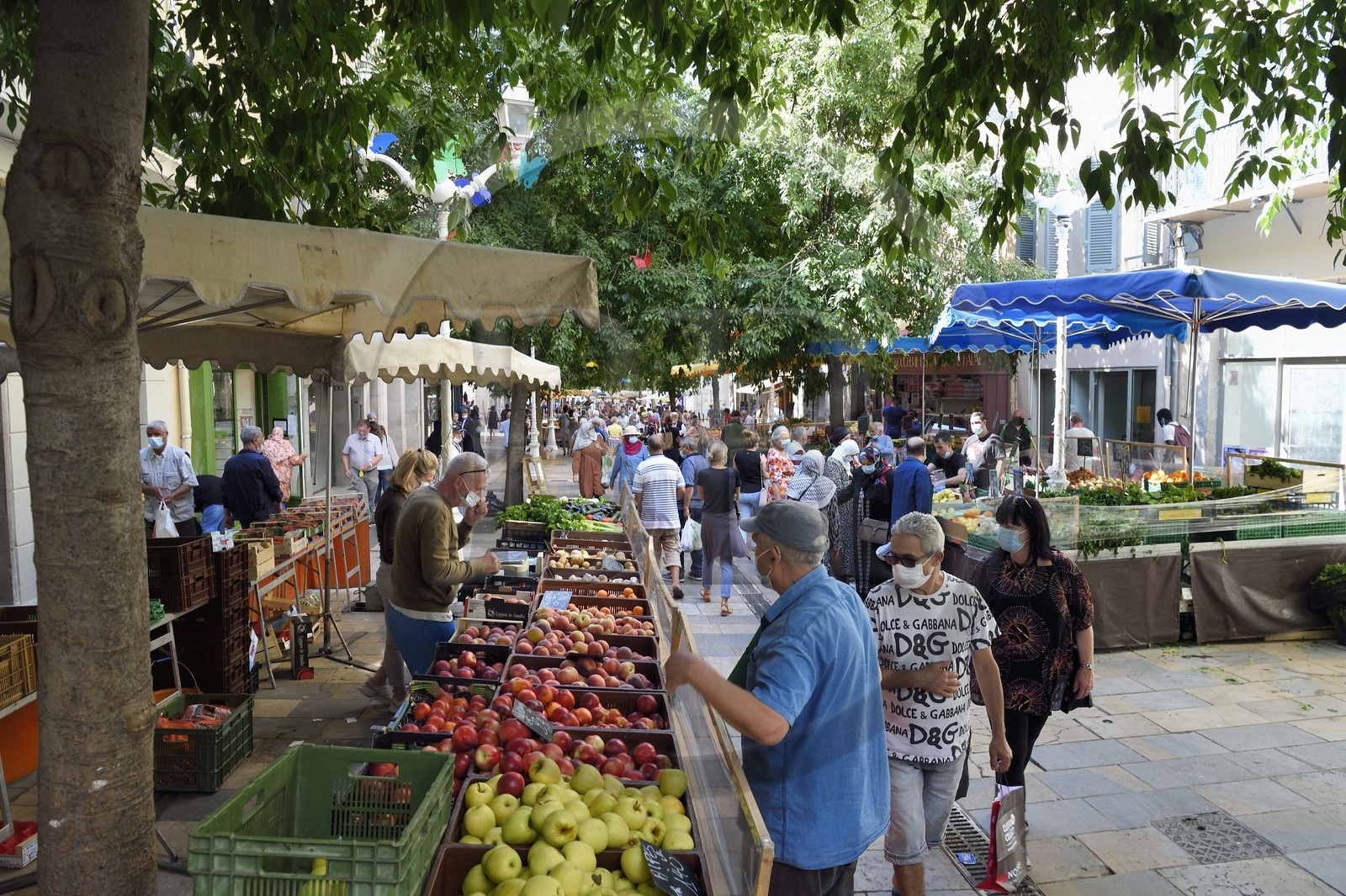 France, Var (83), Toulon, le marché du Cours Lafayette
