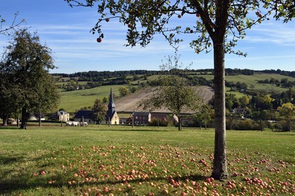 France, Orne, Pays d'Auge, village de Camembert