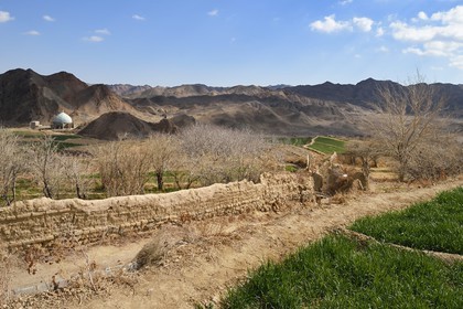 Iran, Province de Yazd, en bordure du désert du Dasht-e Kavir, village de Kharanaq, cultures dans la vallée Andjir au pied du village