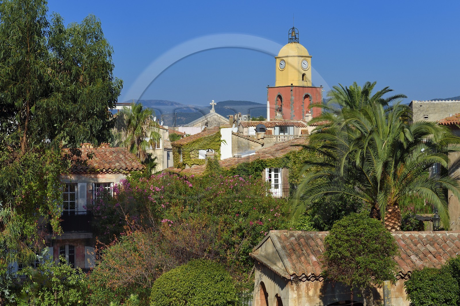 France, Var, Saint-Tropez, Notre Dame de l'Assomption parish church seen from the citadel