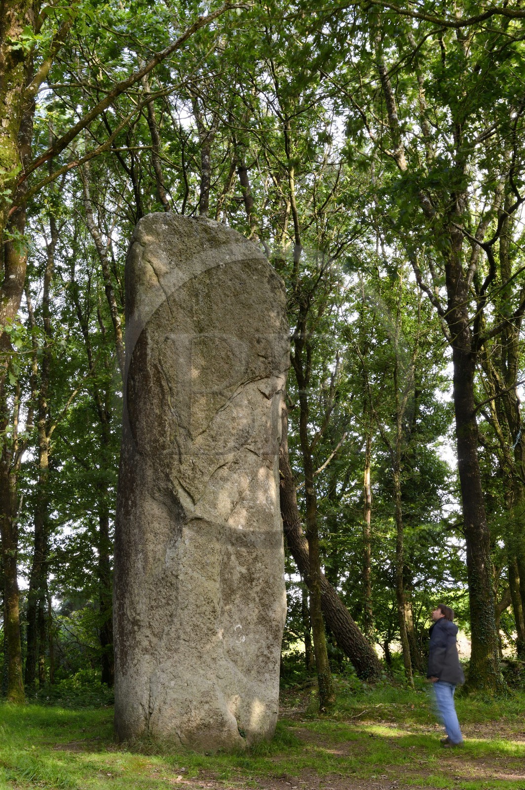 France, Morbihan (56), Moustoir-Ac, Menhir de Kermarquer-la-Lande