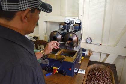 Panama, province de Chiriqui, Boquete, plantation de café Finca Lerida, torréfaction de grains de café