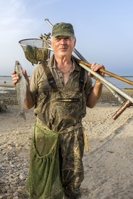 France, Charente Maritime, Port-des-Barques, hand net fisherman Daniel Dupuis having caught a mullet (fish)