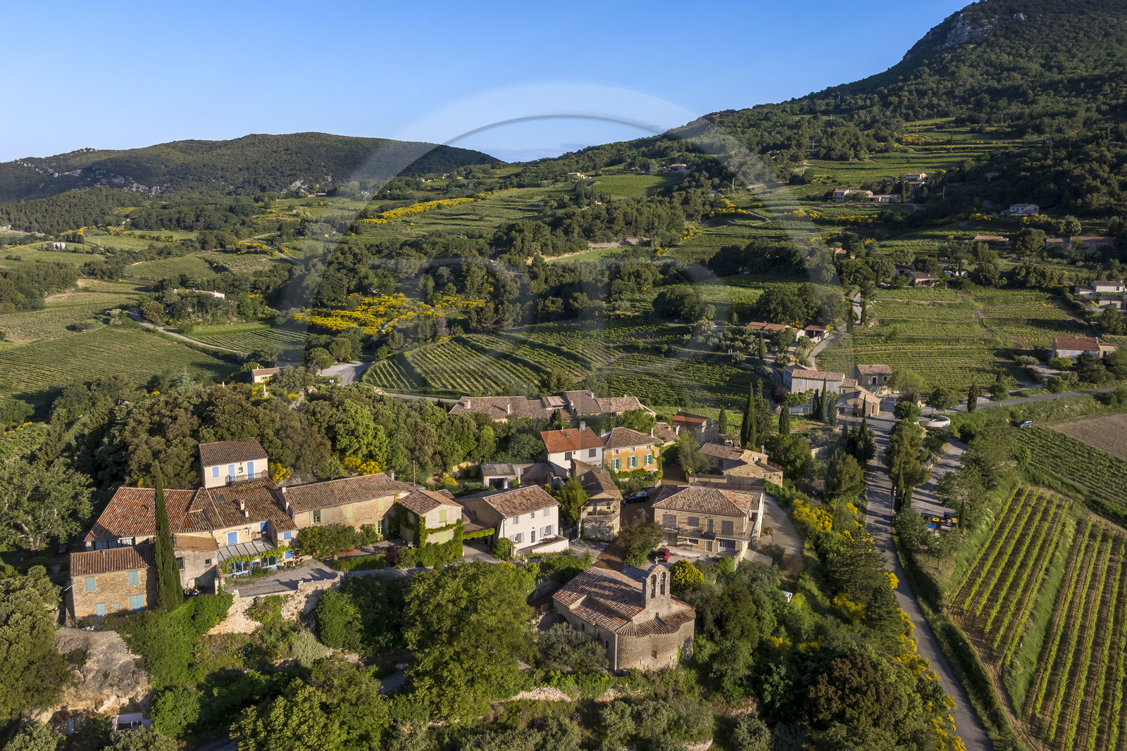 France, Vaucluse, Dentelles de Montmirail mountains, the village of Suzette surrounded by vineyards (aerial view)