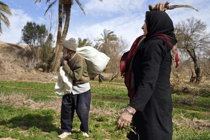 Iran, Province d'Ispahan, désert du Dasht-e Kavir, l'oasis d'Arousan dans la région de Khur et Biabanak, couple de paysan dans son champ