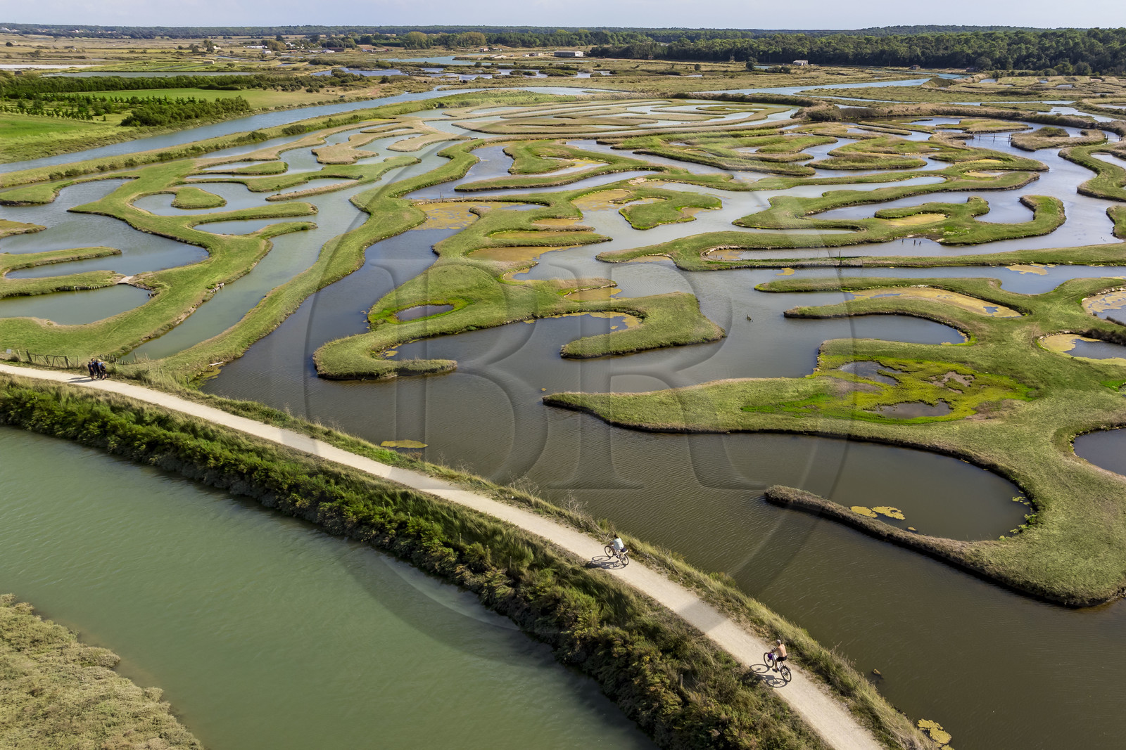 France, Vendée (85), Talmont-Saint-Hilaire, marais de la Guittière dans l'arrière pays de la Pointe du Payré, passage du Cul d’Ane, marais aménagés pour la pisciculture de dorades, mulets et anguilles (vue aérienne)