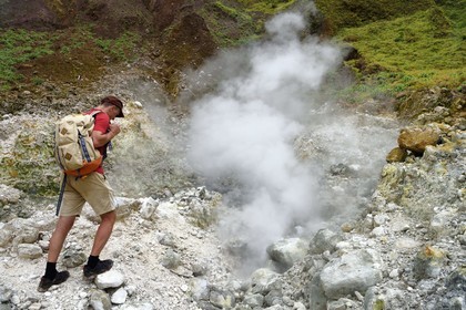 Caraïbes, Ile de la Dominique, Castle Bruce, Parc national du Morne Trois Pitons classé Patrimoine Mondial de l'UNESCO, la Vallée de la Désolation avec fumerolles et sources d'eau chaude, randonnée sur le sentier menant au Boiling Lake