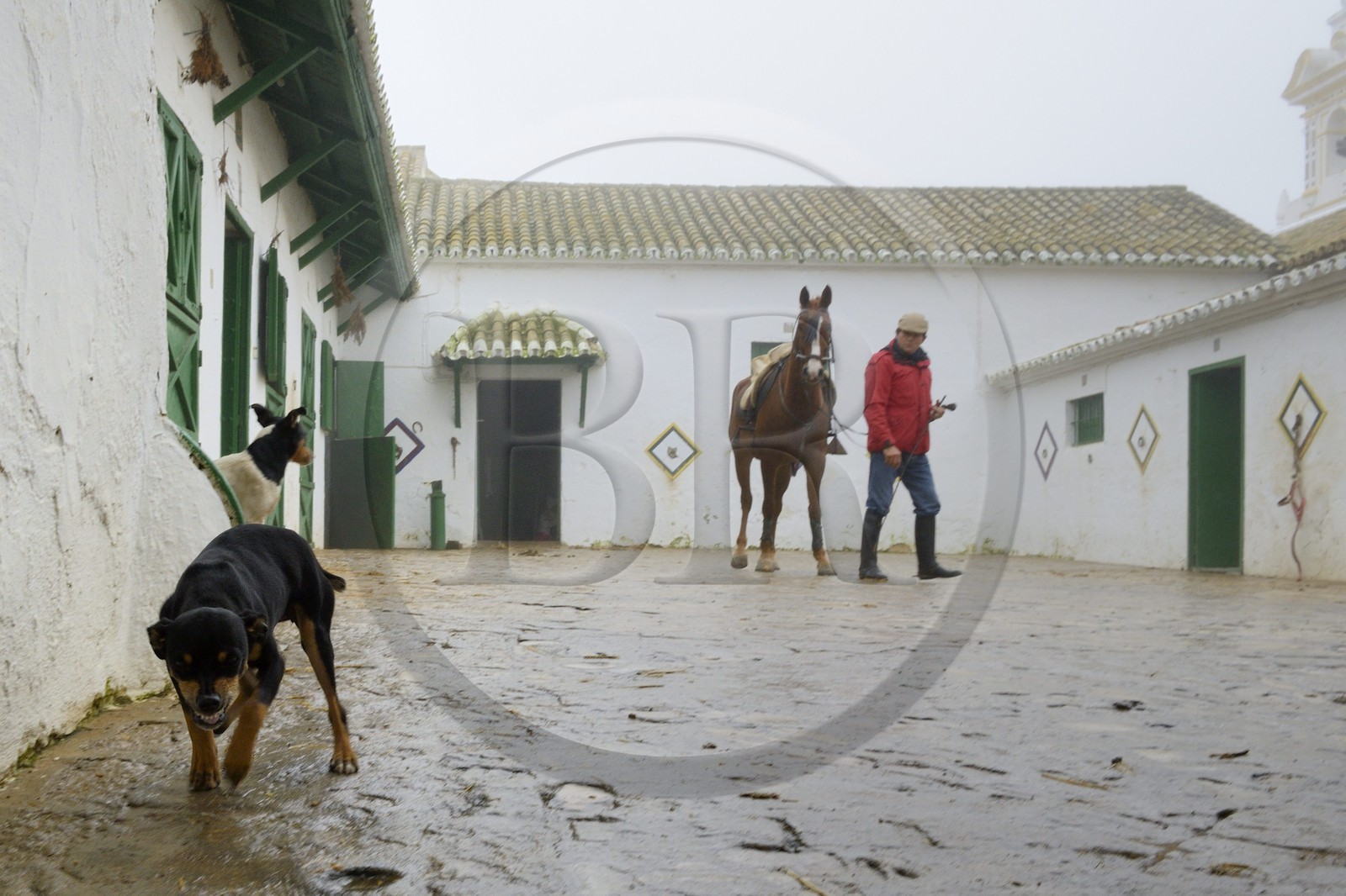 Espagne, Andalousie, province de Séville, Utrera, Finca El Pinganillo, le haras de la propriété