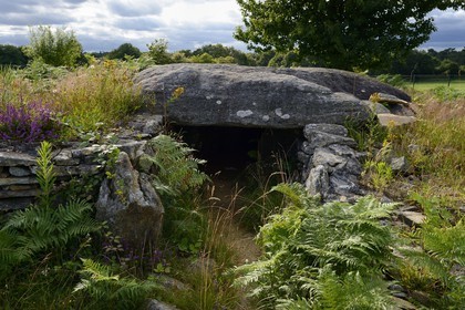 France, Morbihan, Colpo, Larcuste Dolmen